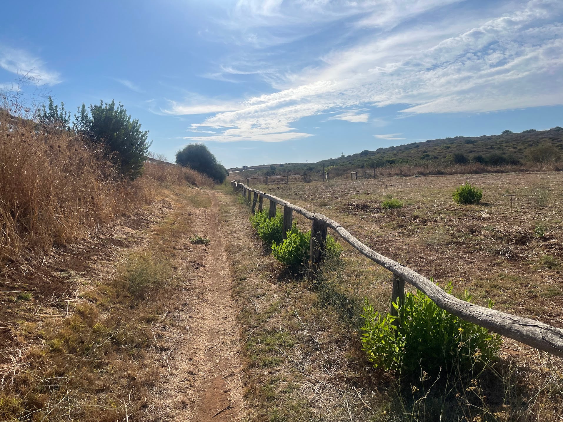 Dune Costiere run to the sea - Photo 8