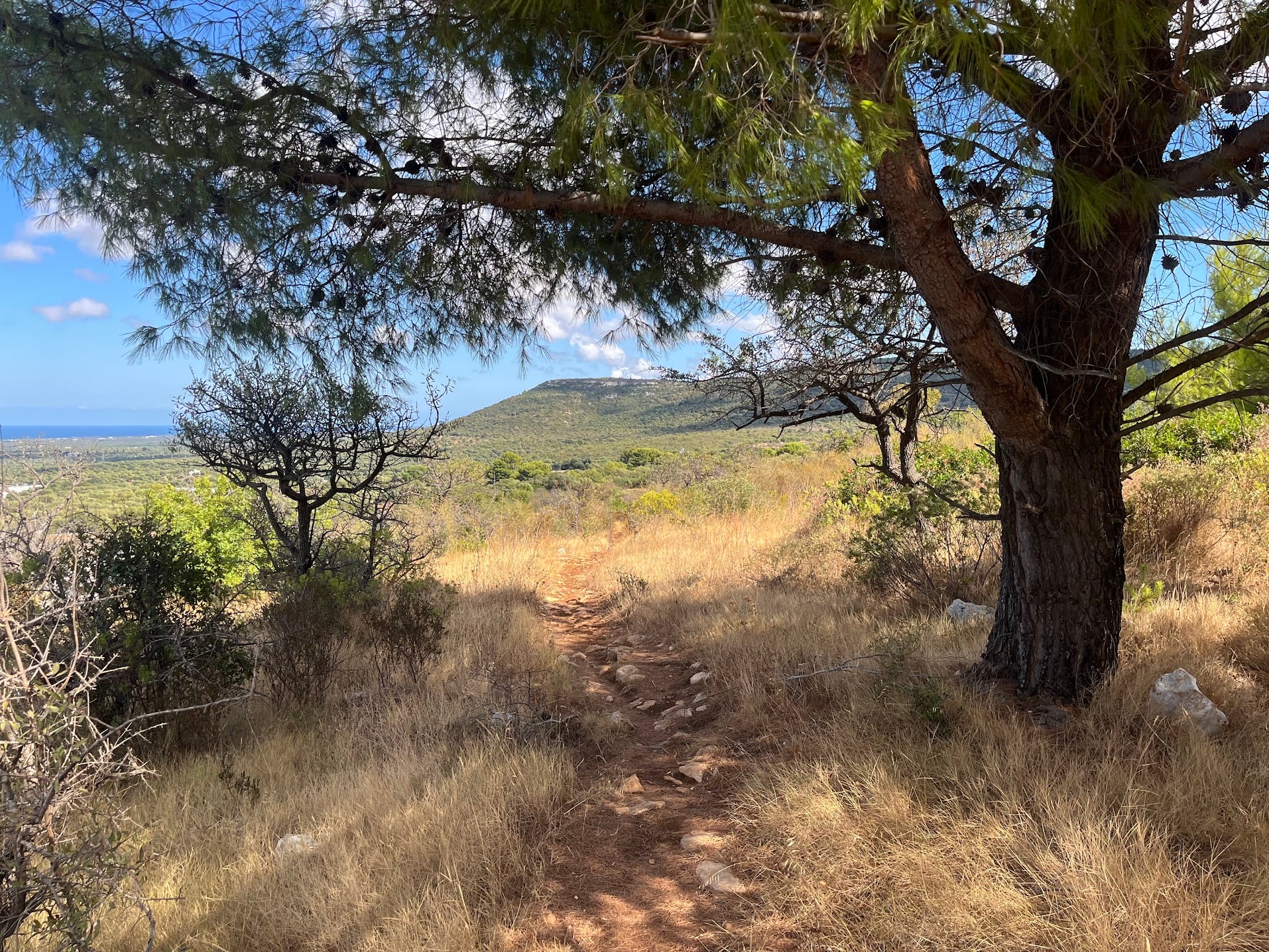Smeraldo Trail loop - Photo 7