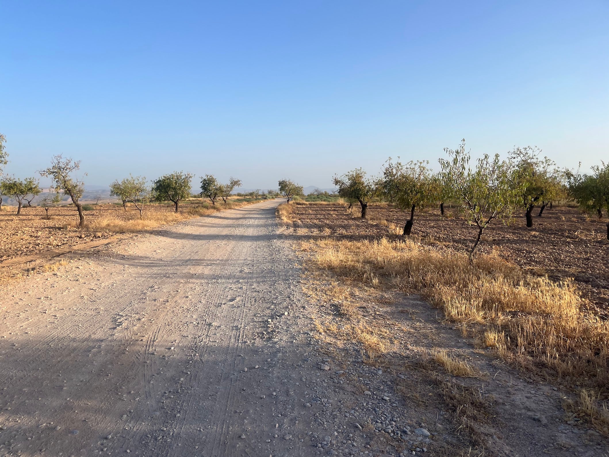 Gorafe desert gravel loop - Photo 8