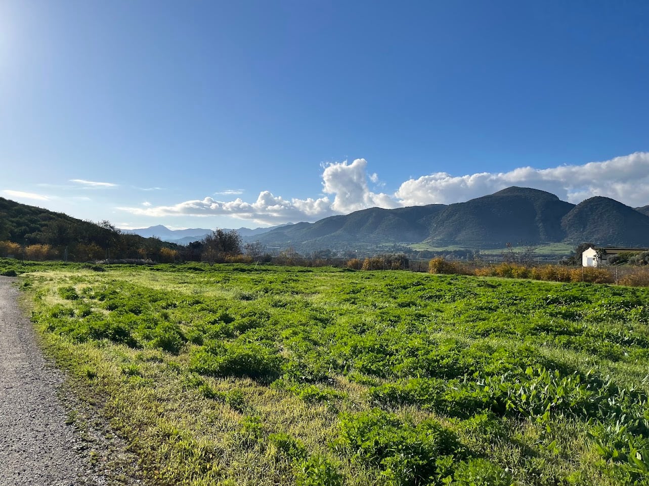 Gravel: Coín - Photo 4