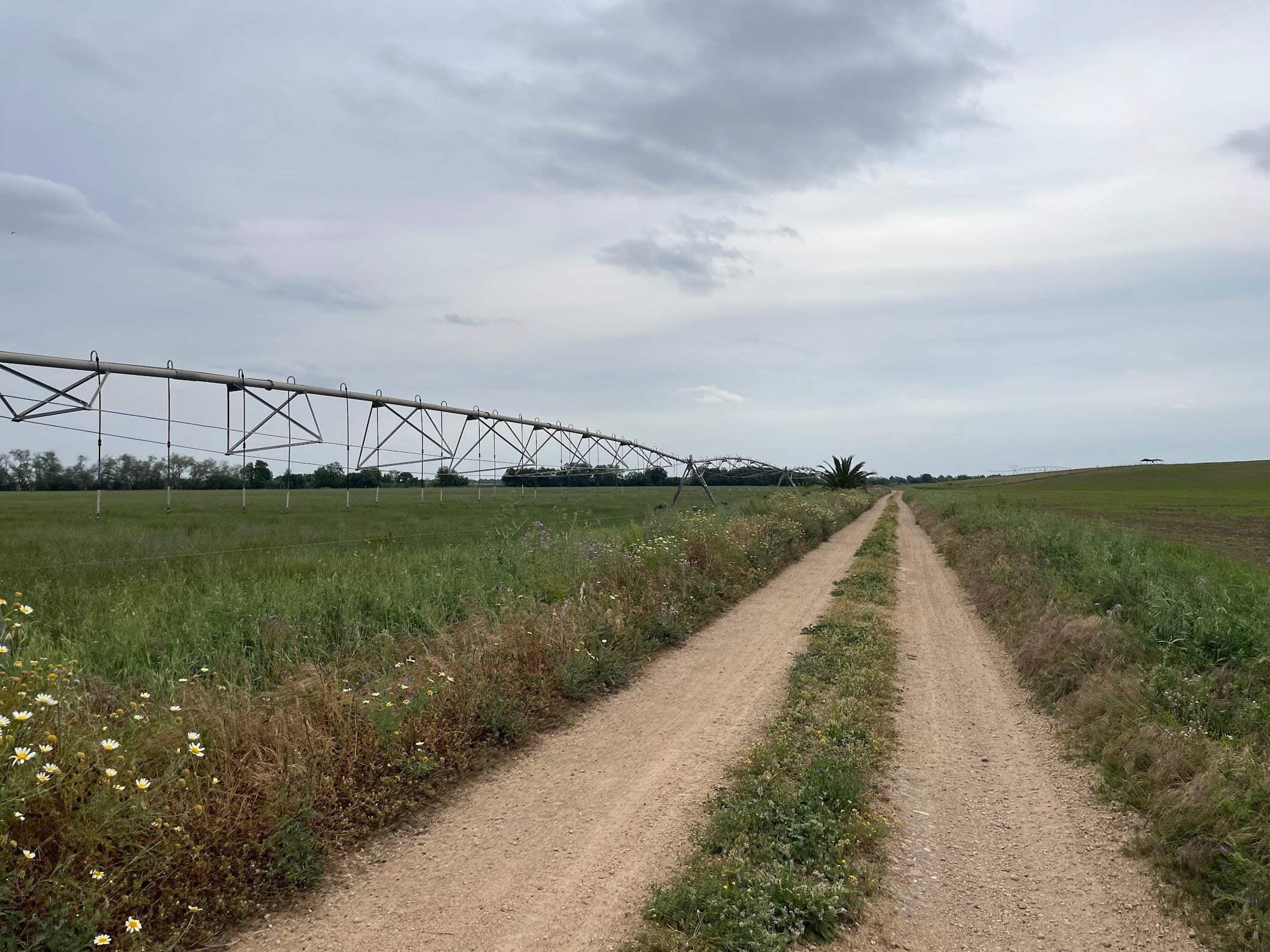 Vía de la Plata & Ruta del Agua gravel loop - Photo 2