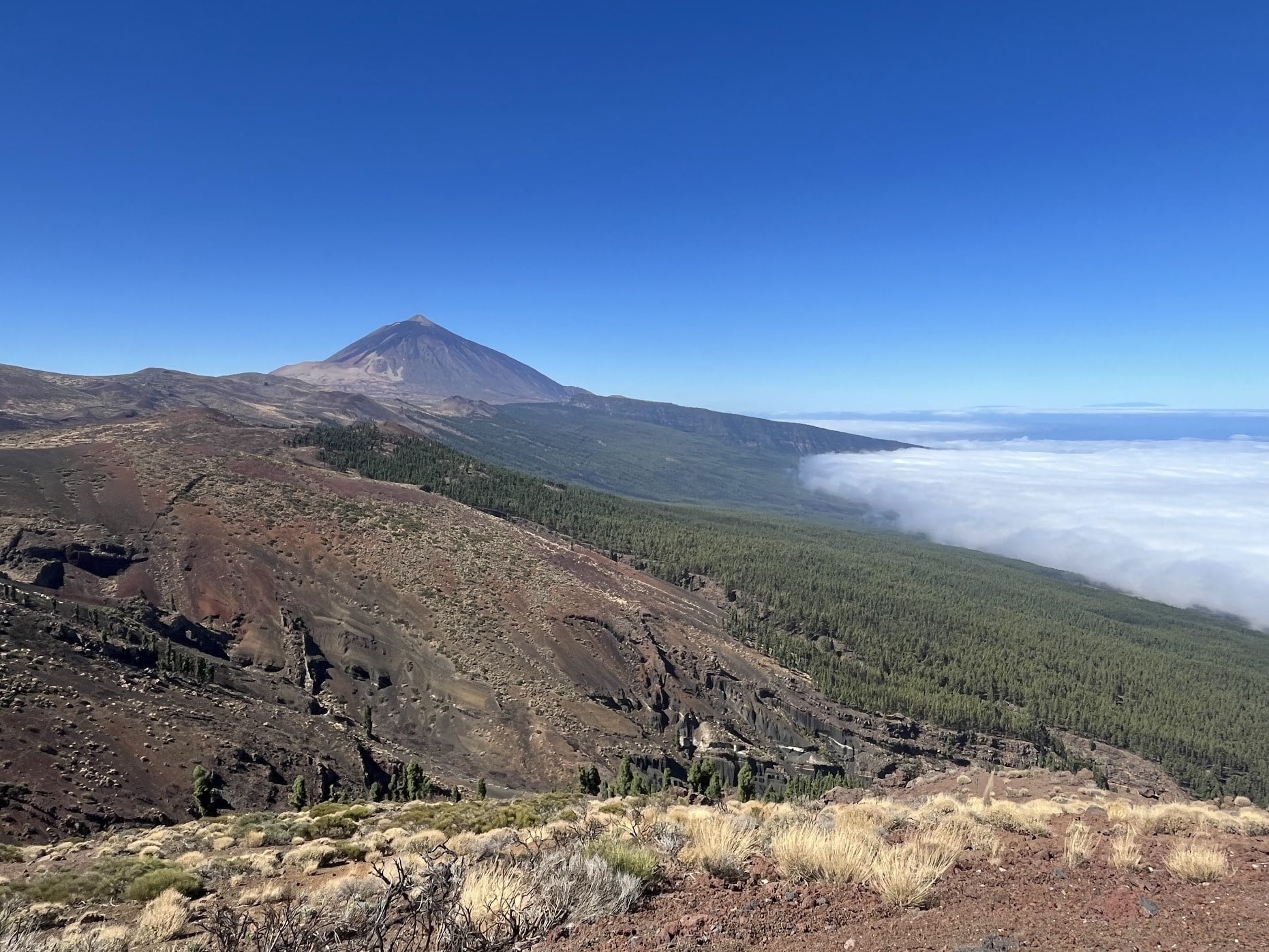 Teide from Puerto de la Cruz (via La Esperanza)