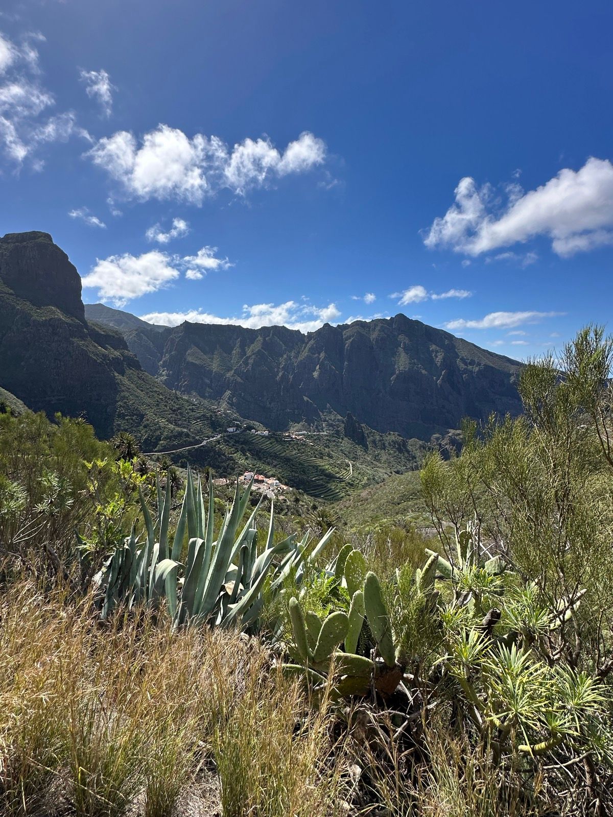 Masca via Buenavista del Norte - Photo 2