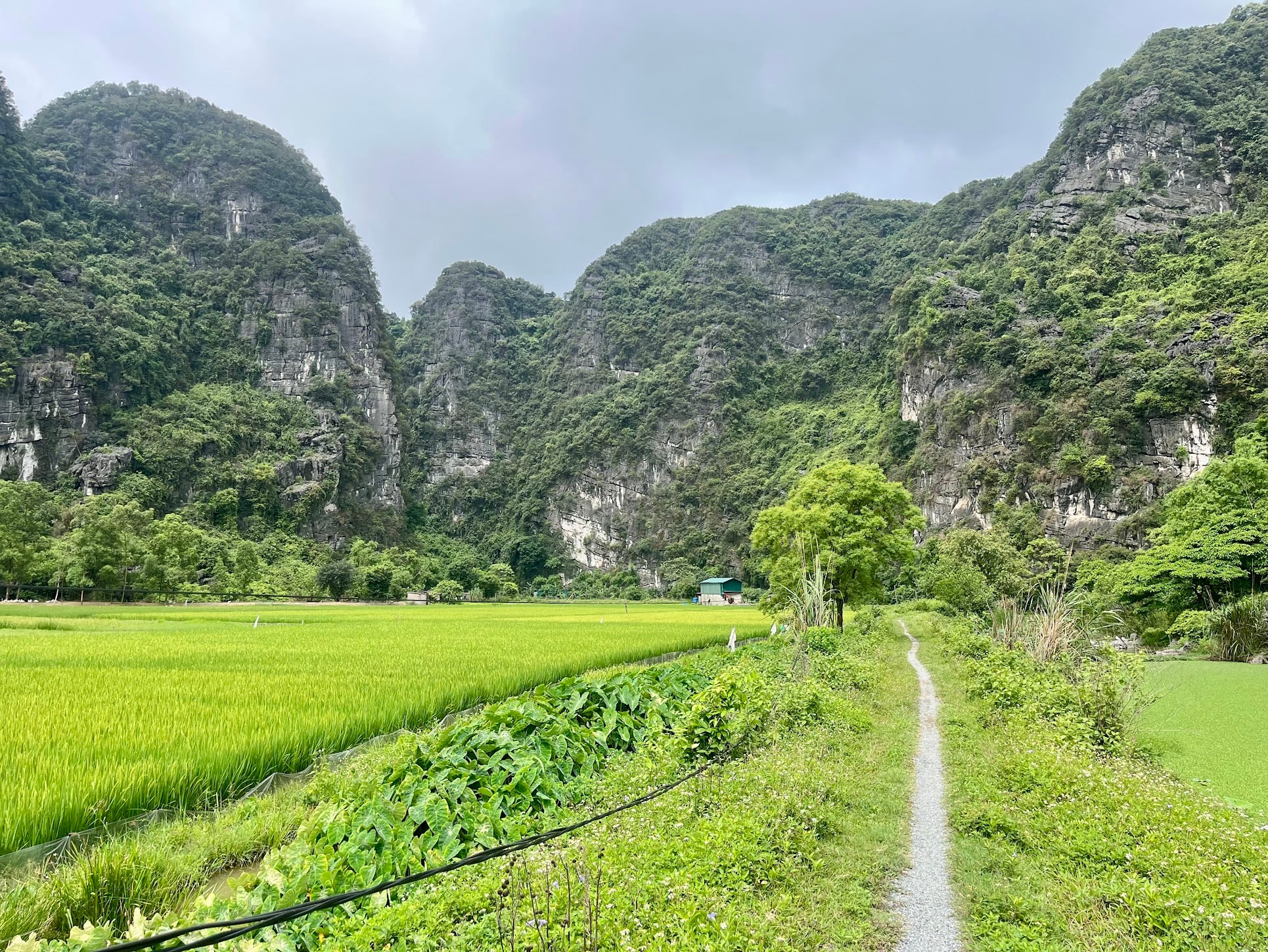Tam Coc - Bich Dong Loop - Photo 2